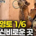 중국 영토의 1/6을 차지하는 가장 크지만 가장 신비로운 세상