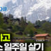 언젠가 꼭 가봐야지🇨🇭한국인이 사랑하는 여행지 스위스 알프스에서 일주일 살기ㅣ퇴직하고 갈만한 여행지